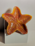 Resin starfish tray