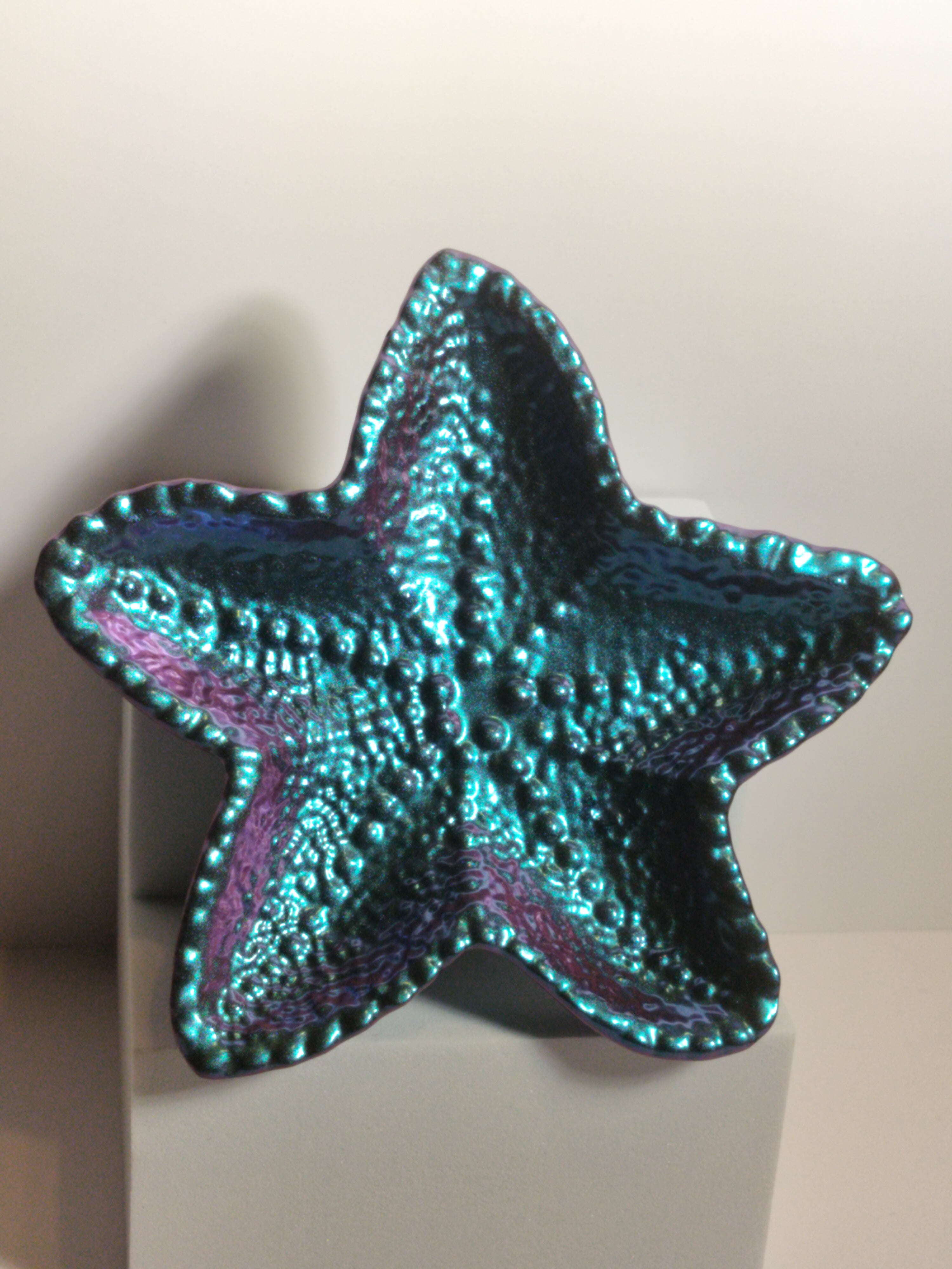 Resin starfish tray